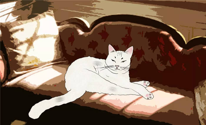 【泪时光】“别在深夜翻手机相册”(末那大叔-众生相第三期)