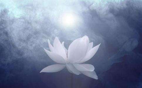 【泪时光】纪录片《地球上的众生》,无论生命是何种形式,都值得我们尊敬