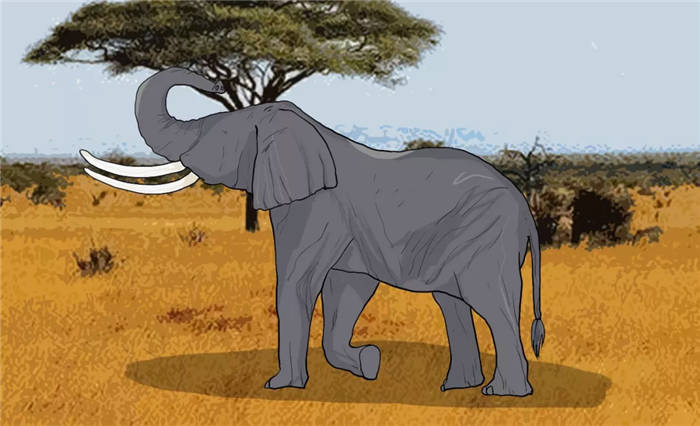 【泪时光】“我在ICU病房外,看到了成人世界的最大秘密”(末那大叔-众生相第一期)