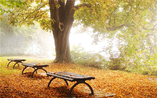 【泪时光】唯美梦幻、意境深远的风景壁纸美图第001期