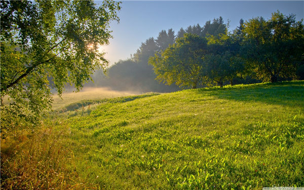 【泪时光】唯美梦幻、意境深远的风景壁纸美图第001期