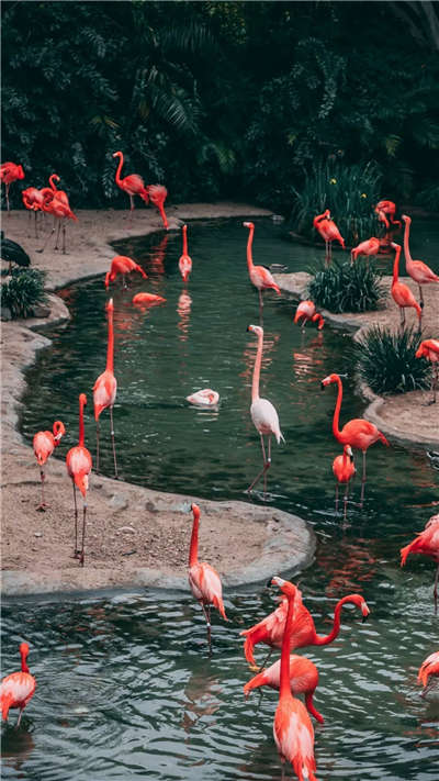 【泪时光】唯美梦幻、意境深远的风景手机壁纸美图第002期