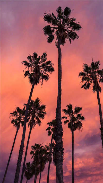 【泪时光】唯美梦幻、意境深远的风景手机壁纸美图第003期