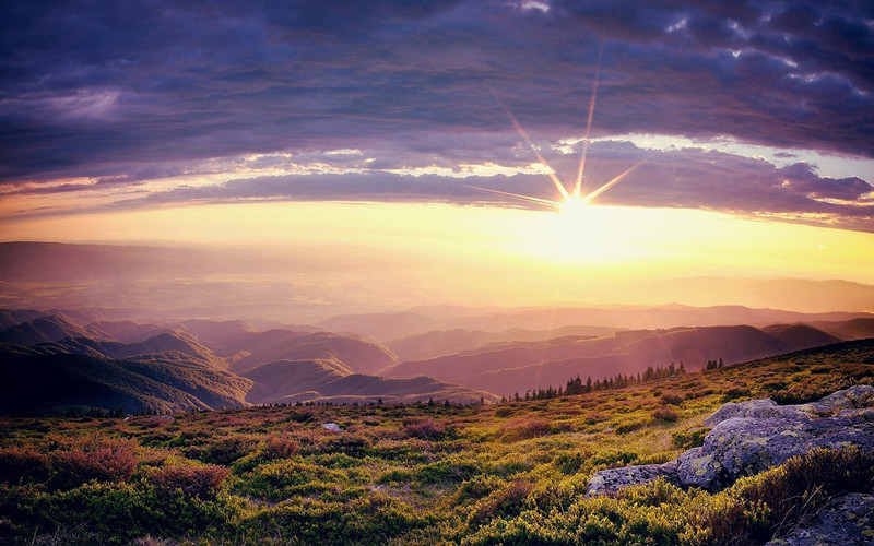 【泪时光】记录感动、温暖、治愈心灵的美好瞬间