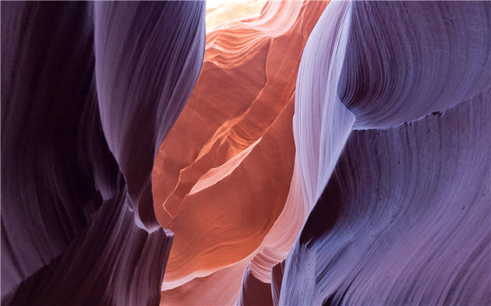 《己亥》精华解读&听读书笔记(393/FD266)