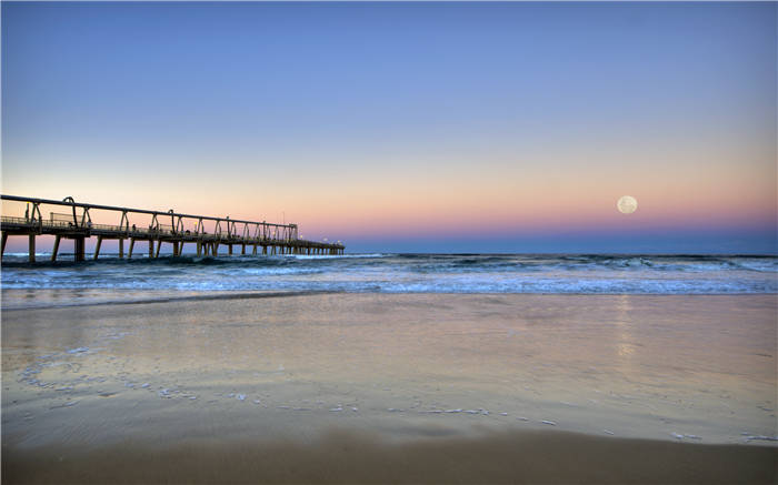 《苏东坡传》精华解读&听读书笔记(294/FD206)