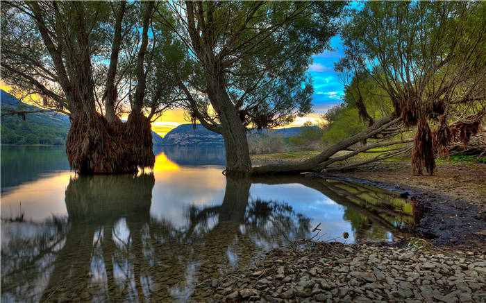 《中国八大诗人》精华解读&听读书笔记(207/FD116)