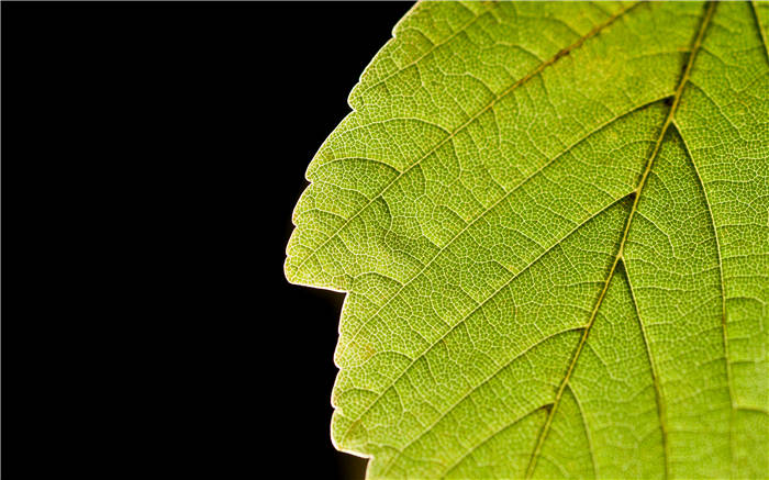 《人生效率手册》精华解读&听读书笔记(250/FD161)