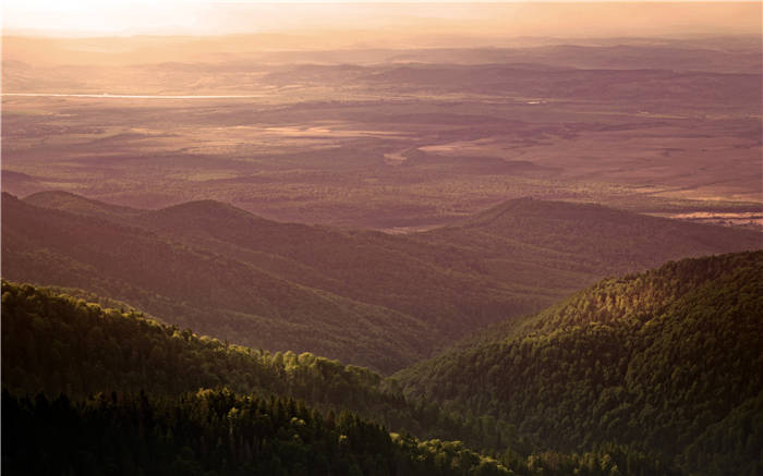 《他人的力量》精华解读&听读书笔记(256/FD167)