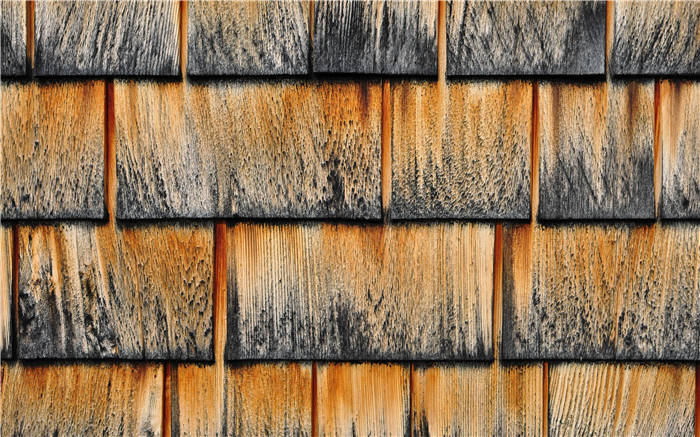 《忙碌爸爸也能做好爸爸》精华解读&听读书笔记(163/FD070)