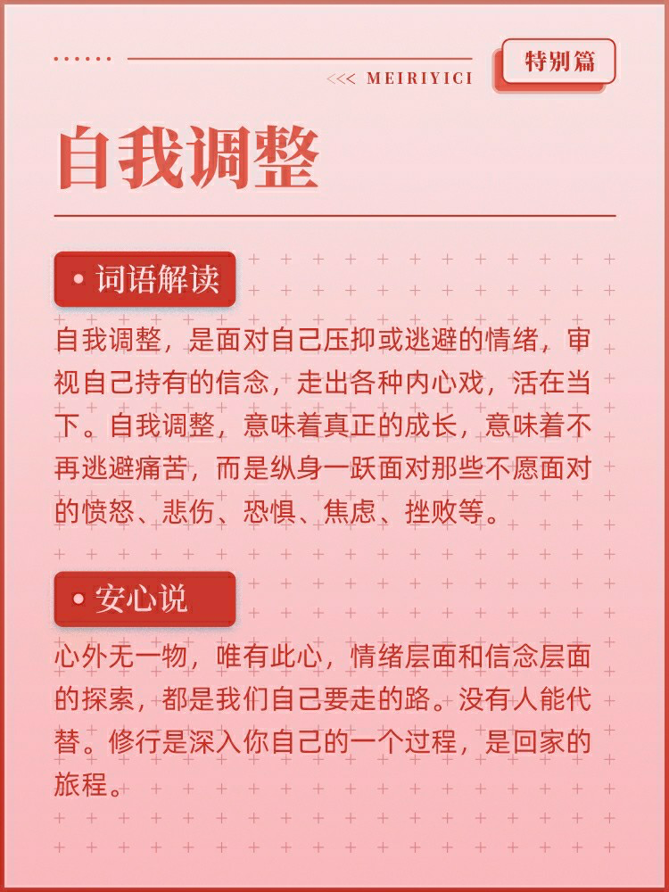 《在远远的背后带领》听读书笔记(432/FD305)